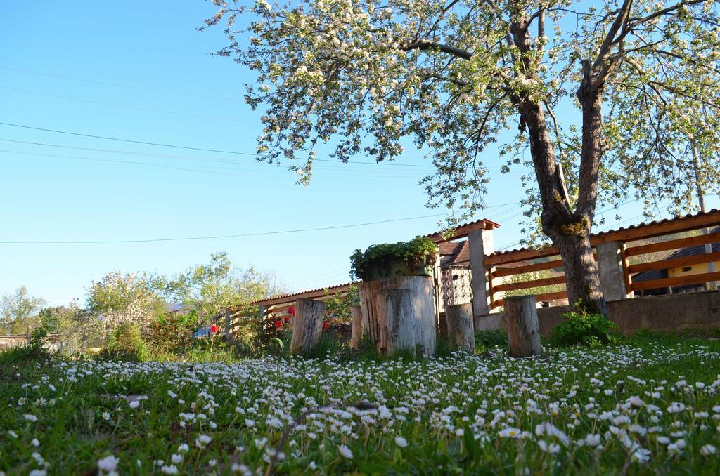Villa Ribarica Exteriér fotografie