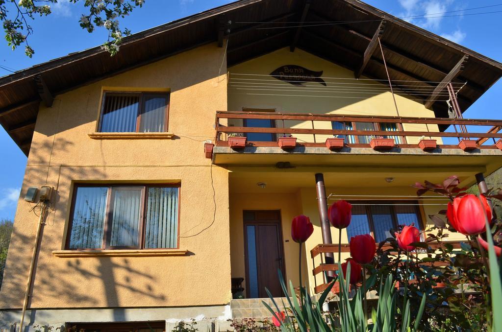 Villa Ribarica Exteriér fotografie