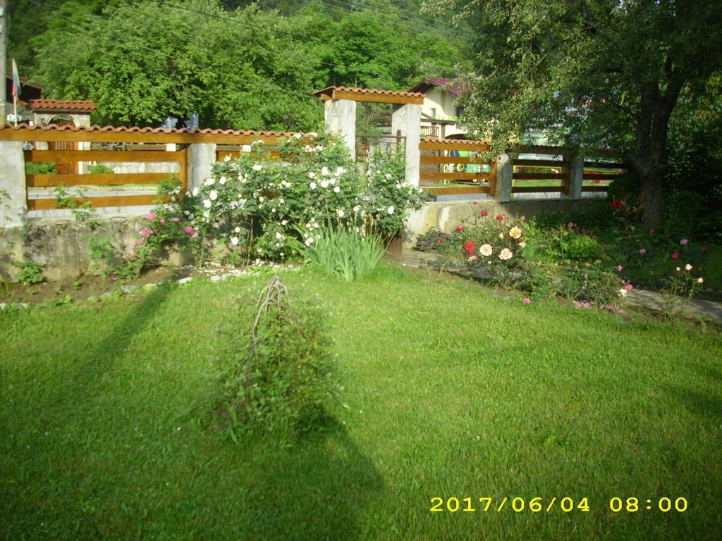 Villa Ribarica Exteriér fotografie
