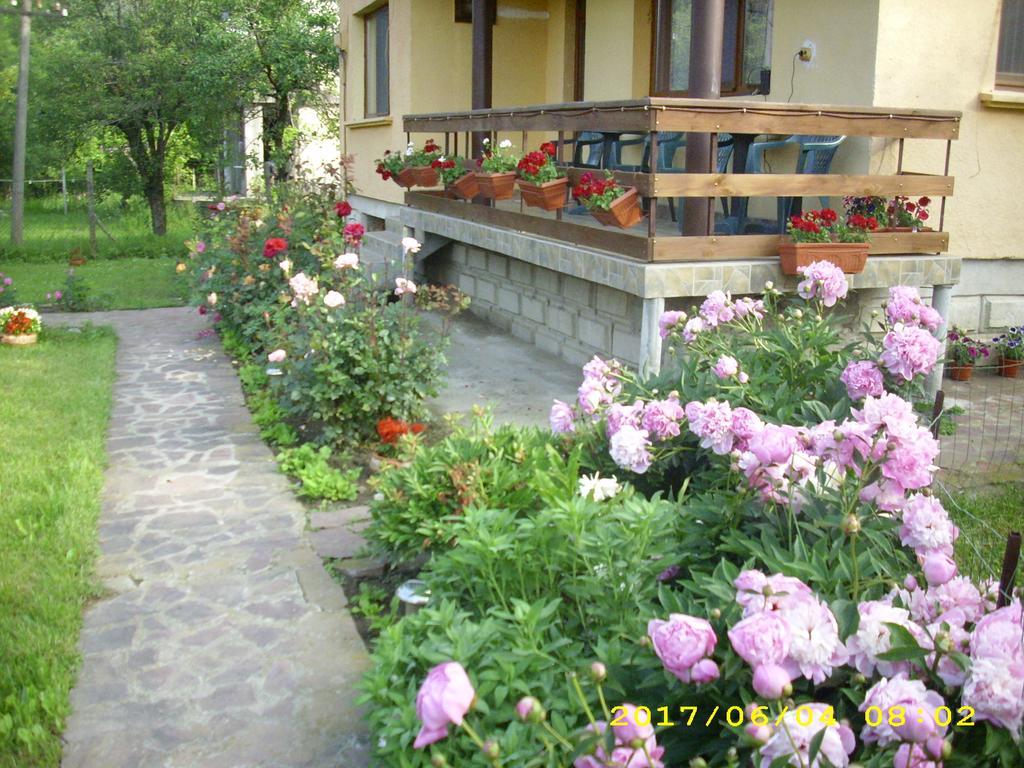 Villa Ribarica Exteriér fotografie