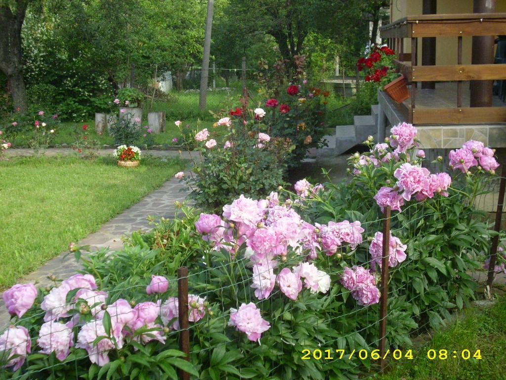 Villa Ribarica Exteriér fotografie