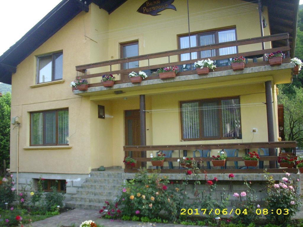 Villa Ribarica Exteriér fotografie