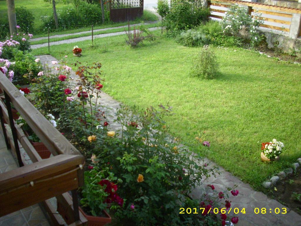 Villa Ribarica Exteriér fotografie