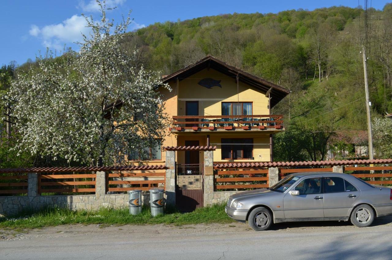 Villa Ribarica Exteriér fotografie